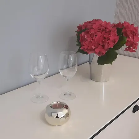 Apartmán Ars Vip Novi Sad