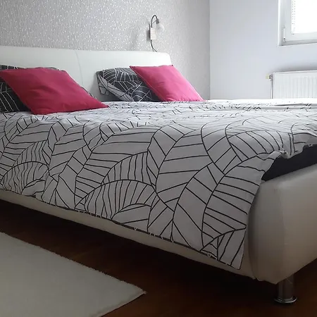 Ars Vip Újvidék